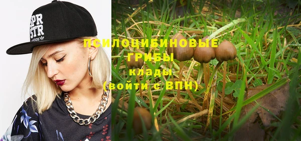 ПСИЛОЦИБИНОВЫЕ ГРИБЫ Куйбышев